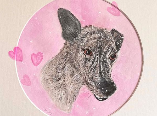Candy's Hound Rescue International