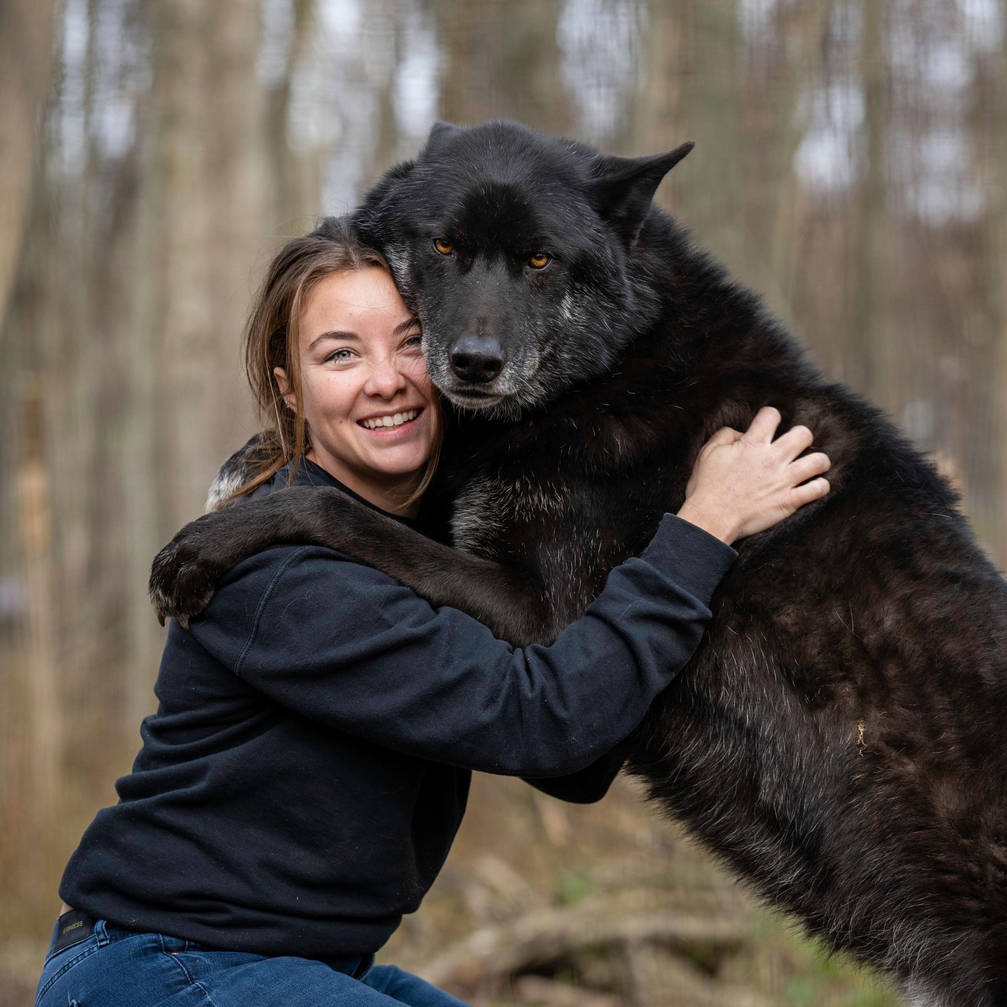 Arctic Fox Daily Wildlife Rescue, Inc