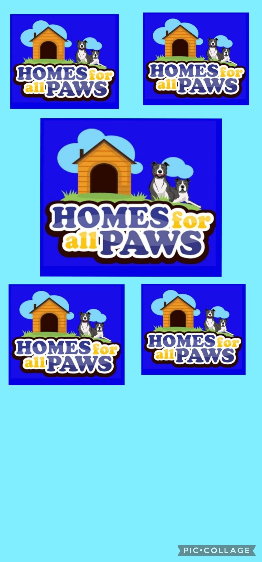 Homes for all Paws