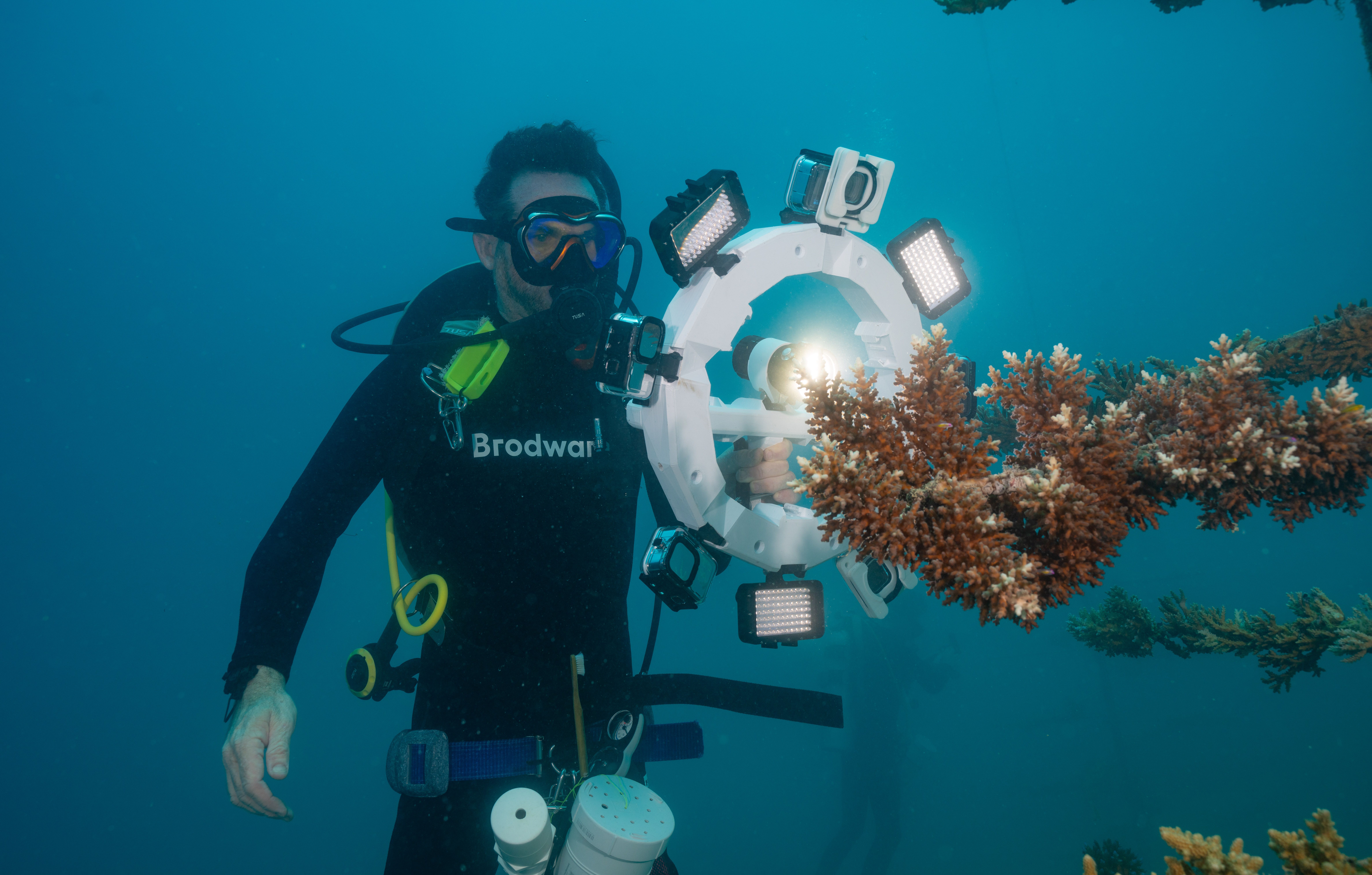 Resilient Reefs Foundation