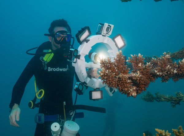 Resilient Reefs Foundation