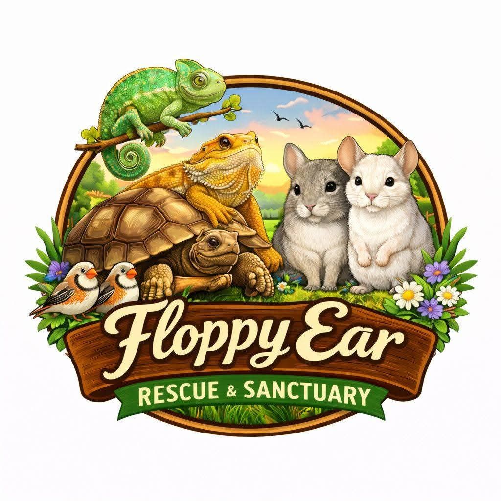 Floppy Ear Rescue