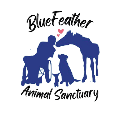 BlueFeather Horse Sanctuary and Misfit Mustangs