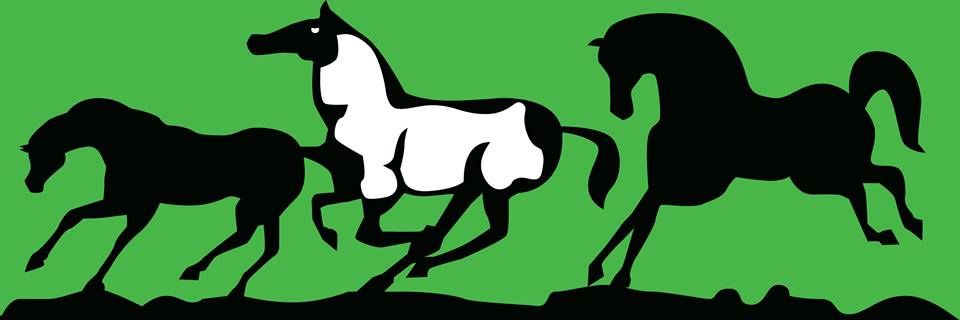 Begin Again Horse Rescue