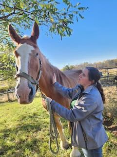 Begin Again Horse Rescue