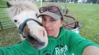 Begin Again Horse Rescue