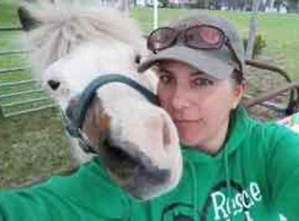 Begin Again Horse Rescue