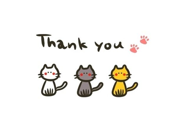 Friends of Feral Felines