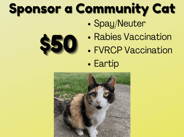 Friends of Feral Felines