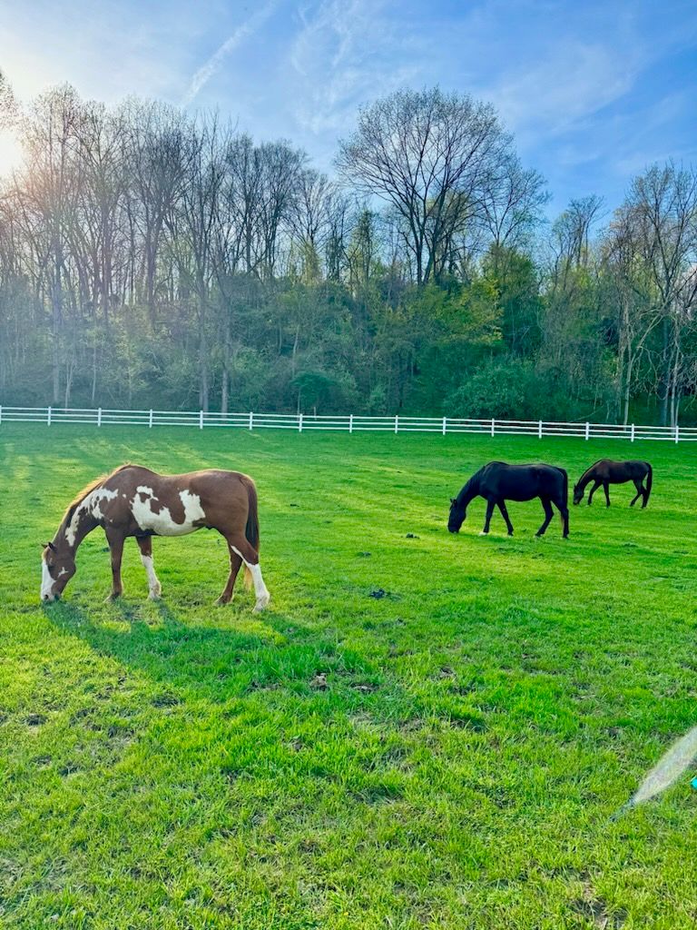 February Star Sanctuary