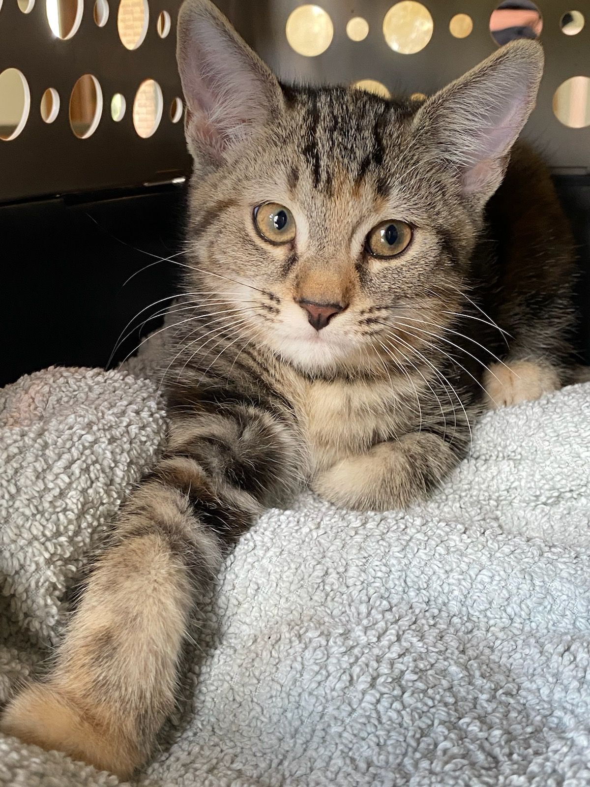 February Star Sanctuary