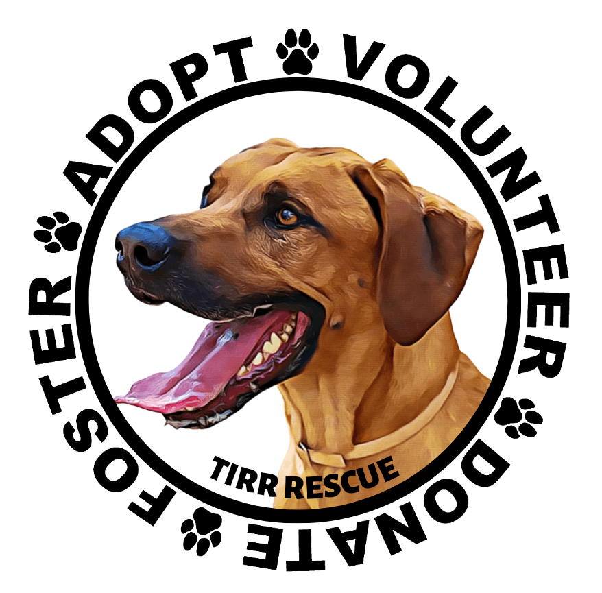 Texas Independt Ridge Back Rescue