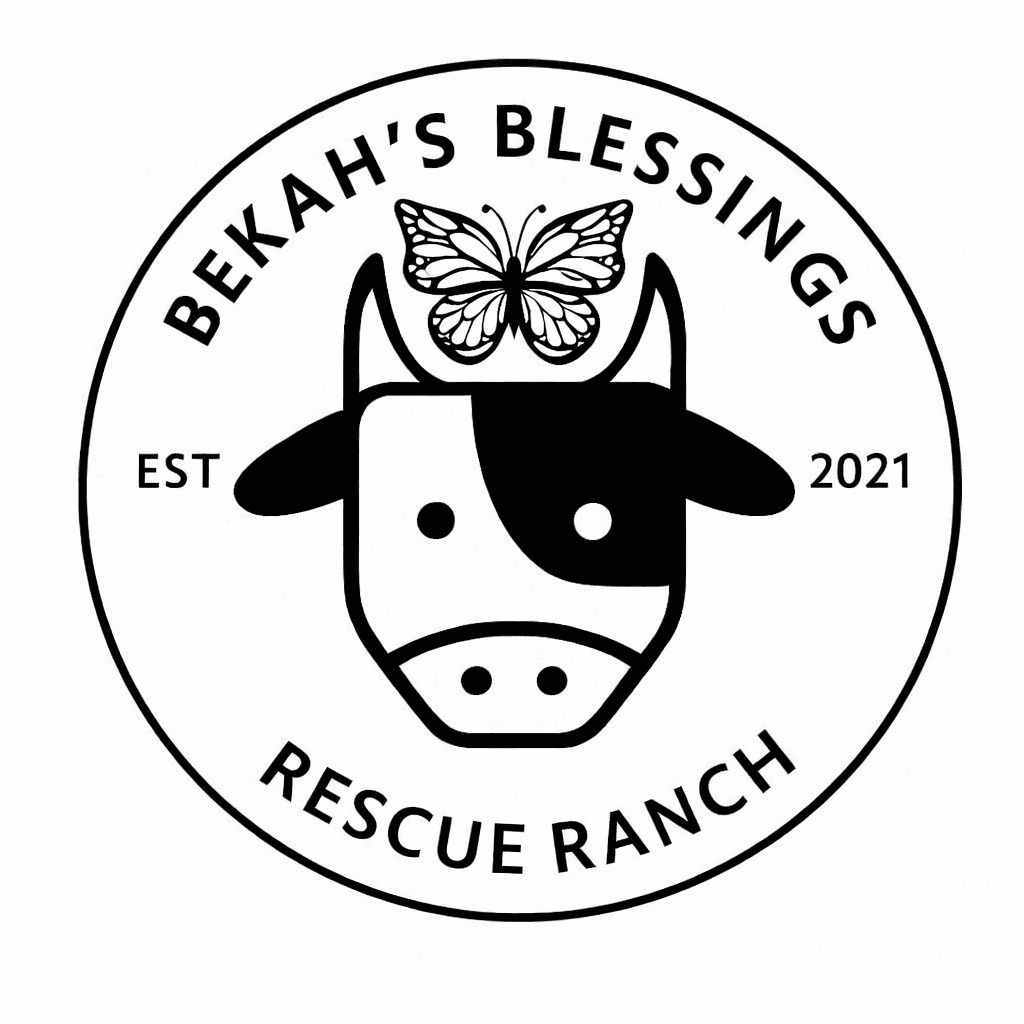 Bekah’s Blessings Ranch Inc.