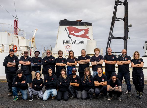 Captain Paul Watson Foundation
