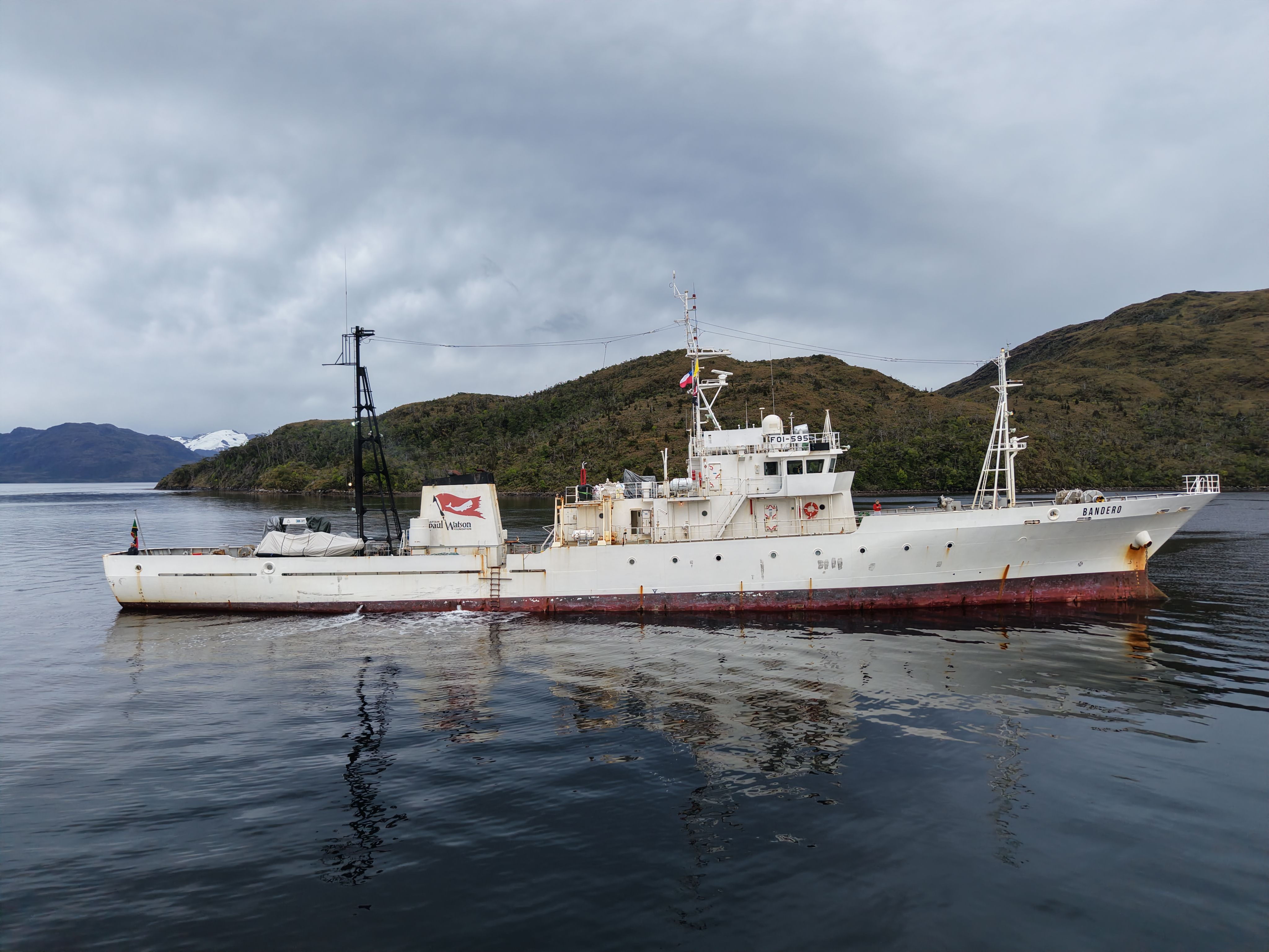 Captain Paul Watson Foundation