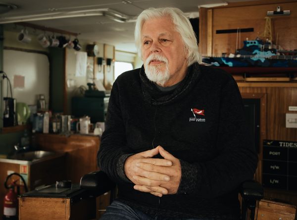 Captain Paul Watson Foundation