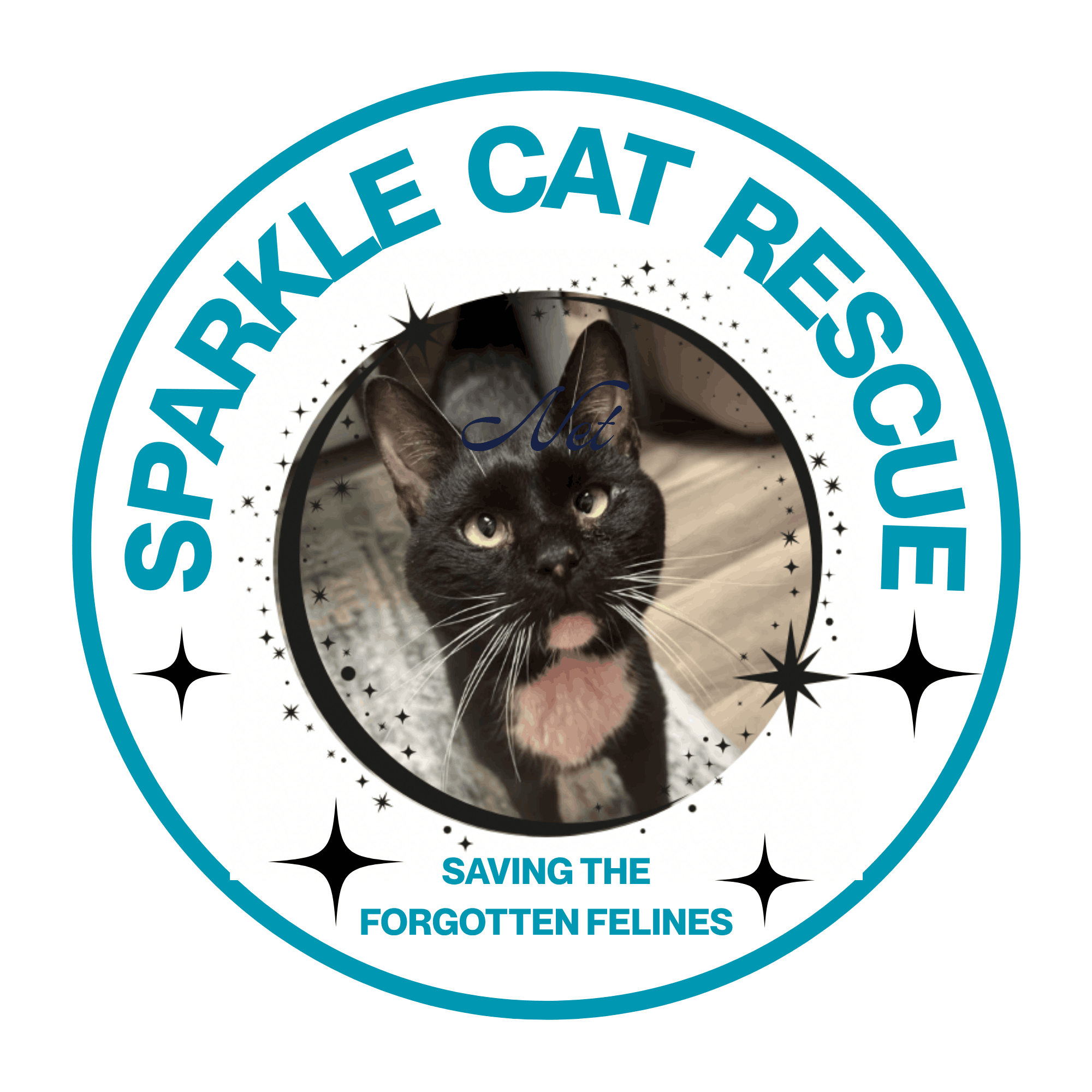 Sparkle Cat Rescue