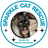 Sparkle Cat Rescue