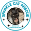 Sparkle Cat Rescue