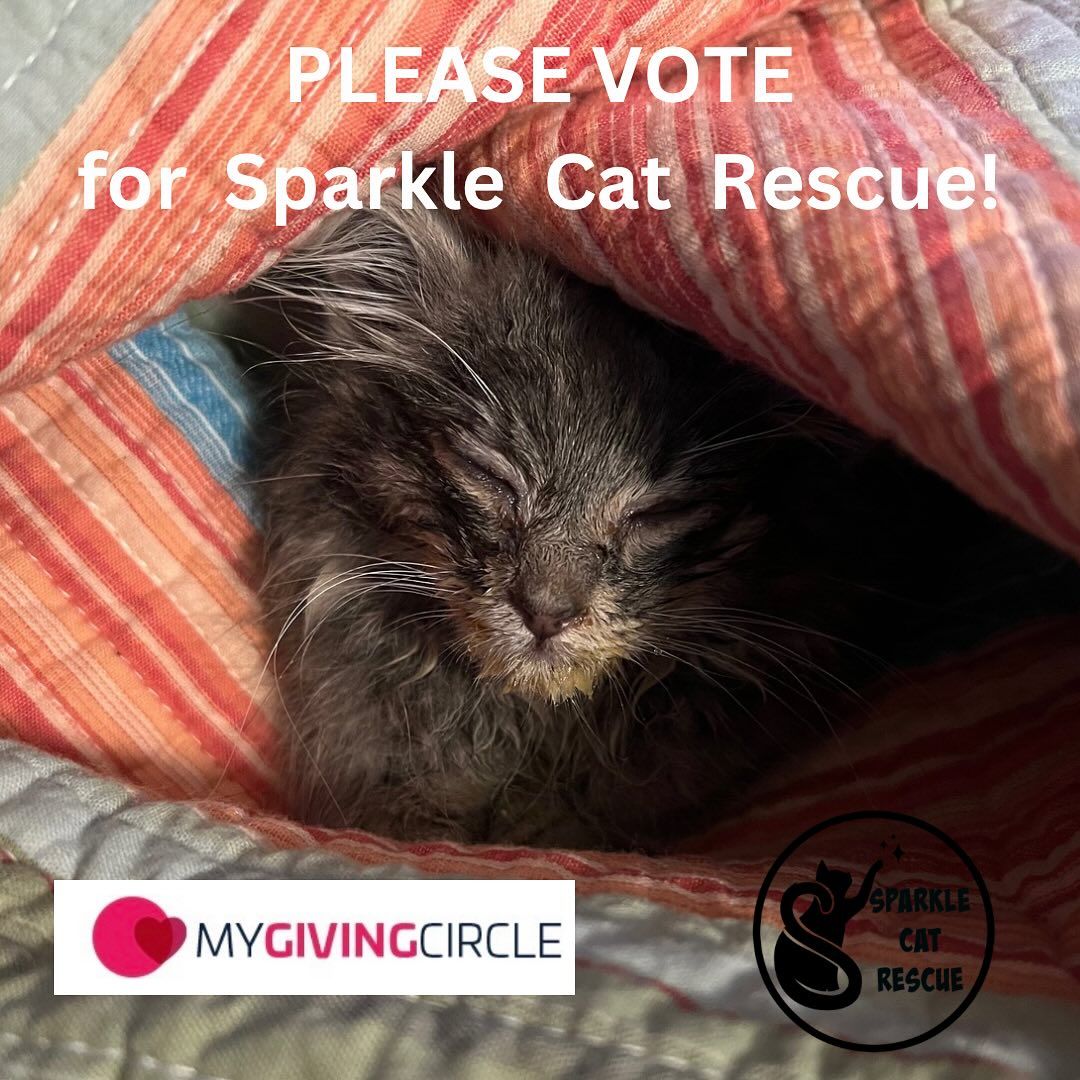 Sparkle Cat Rescue