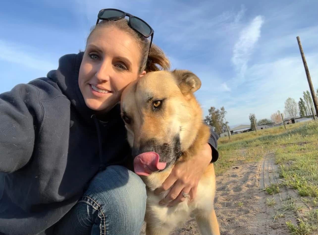 Hold your horses evacuation and rescue