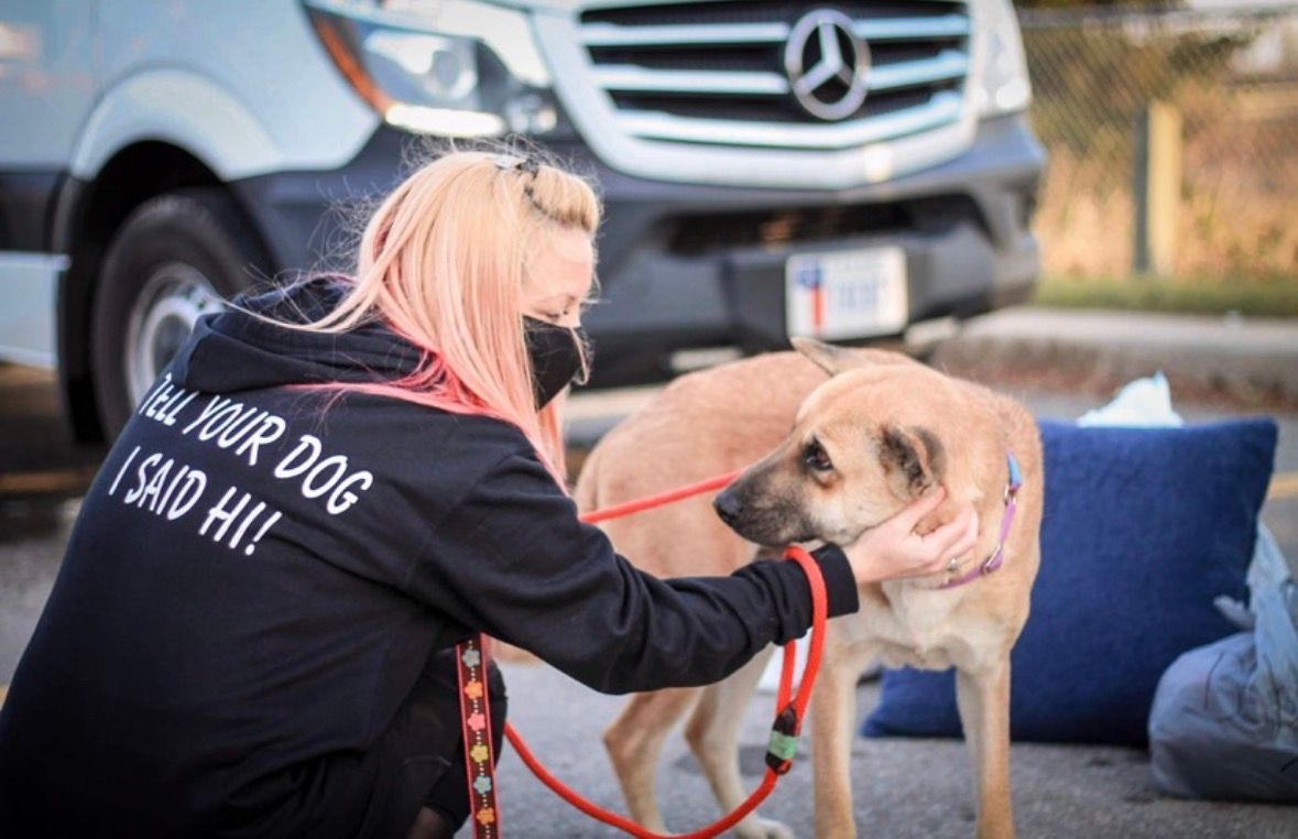 Full Circle Rescue