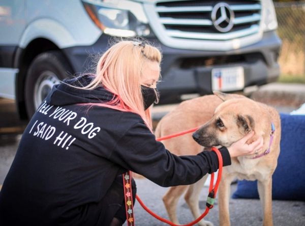 Full Circle Rescue