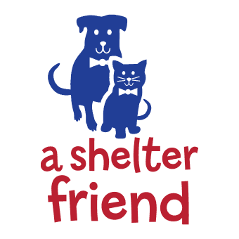 A Shelter Friend