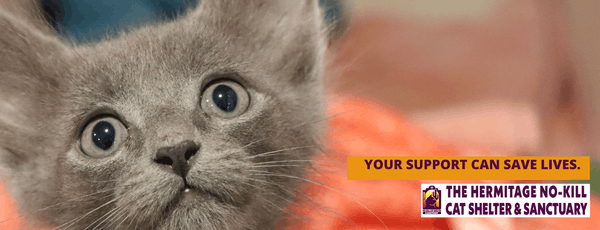 Hermitage No-Kill Cat Shelter & Sanctuary
