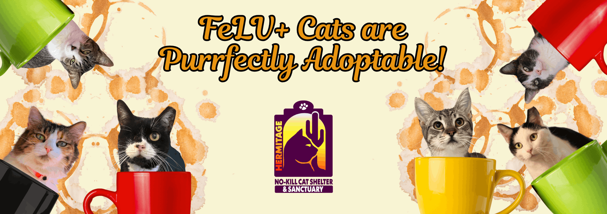 Hermitage No-Kill Cat Shelter & Sanctuary
