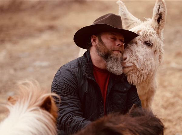 Donkey & Draft Rescue