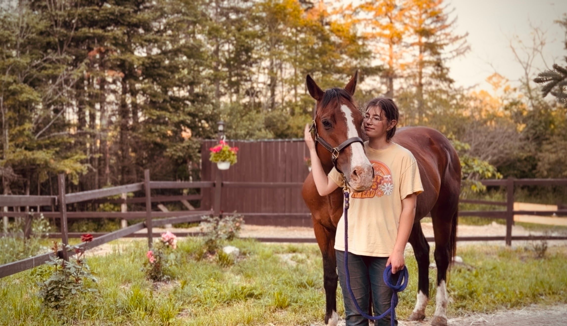 Donkey & Draft Rescue