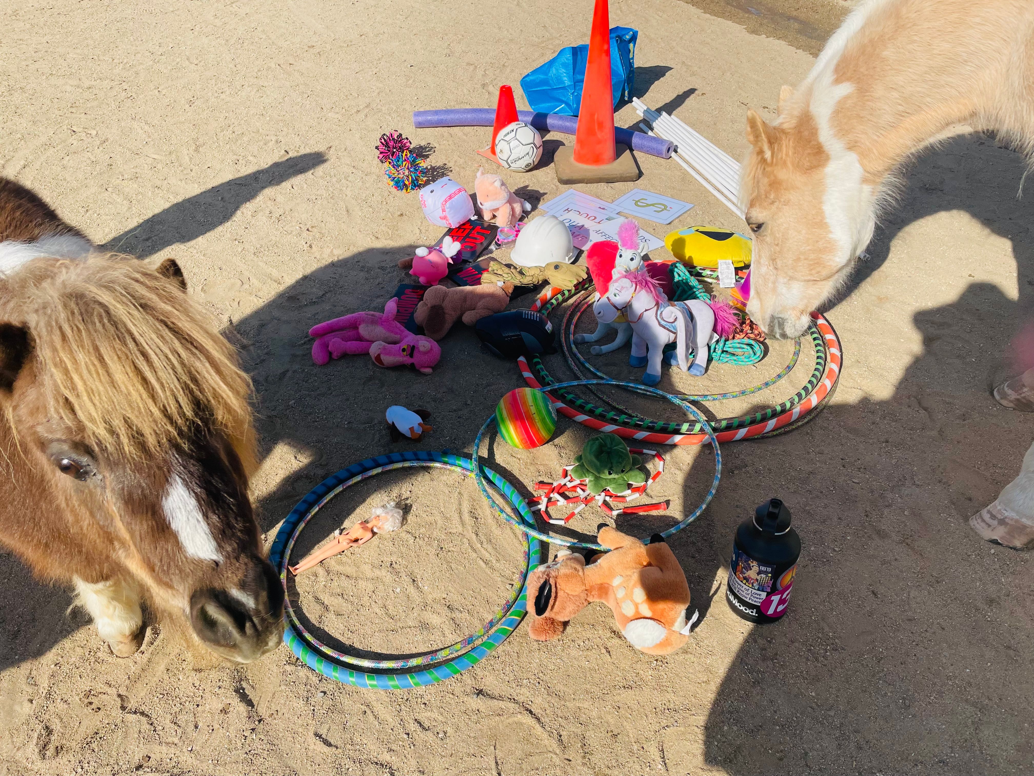 Worlds Alive Equine II LLC