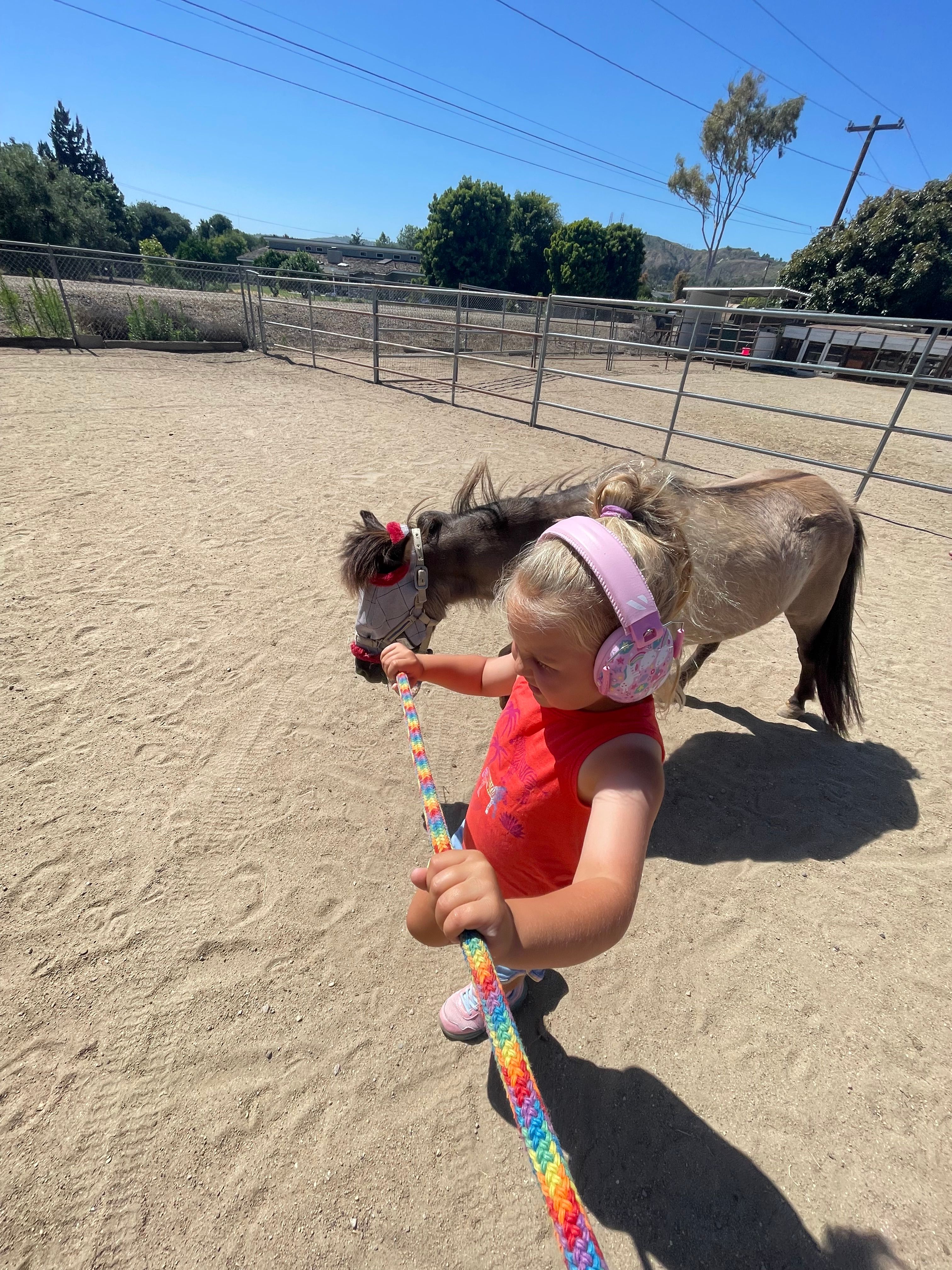 Worlds Alive Equine II LLC
