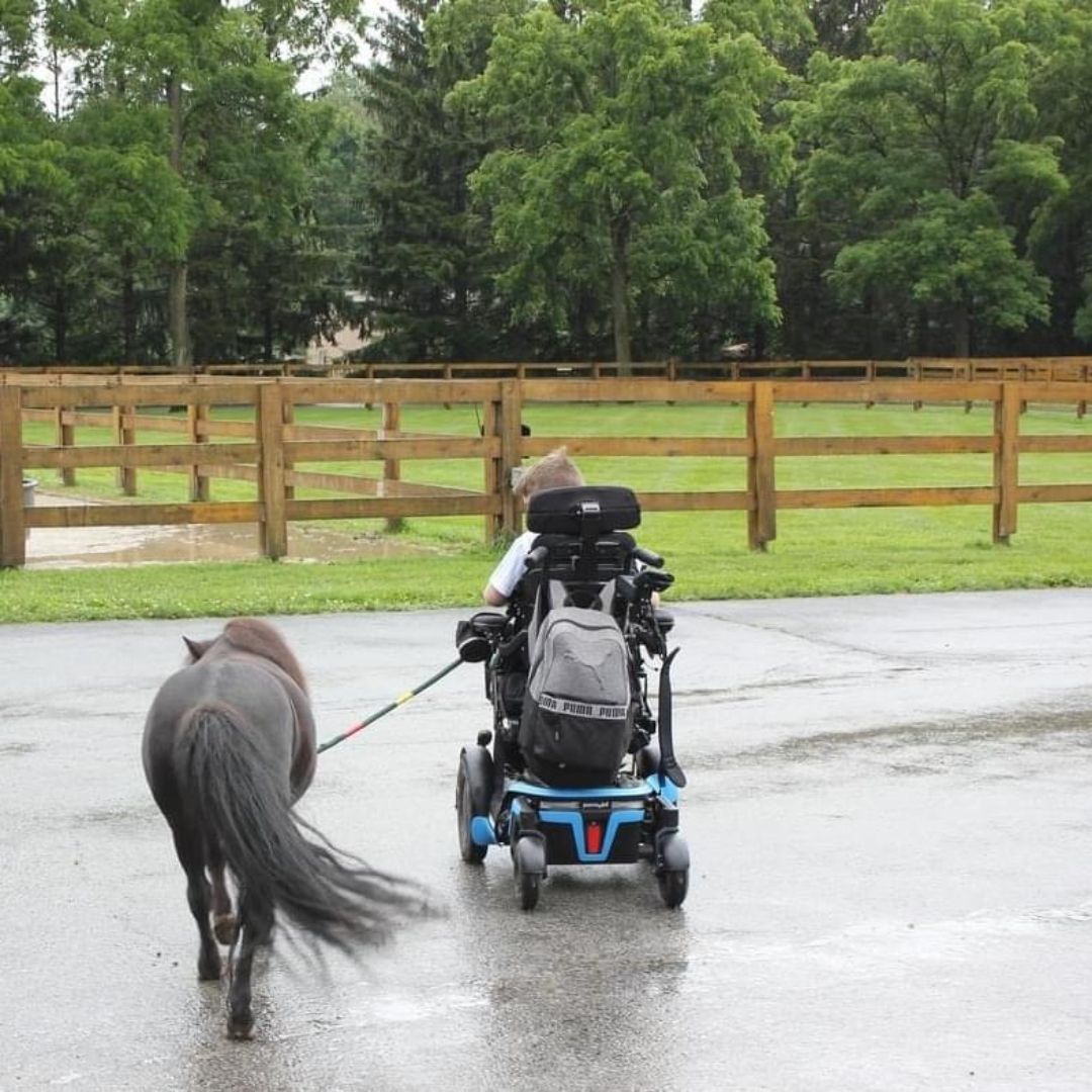 Agape Therapeutic Riding Resources