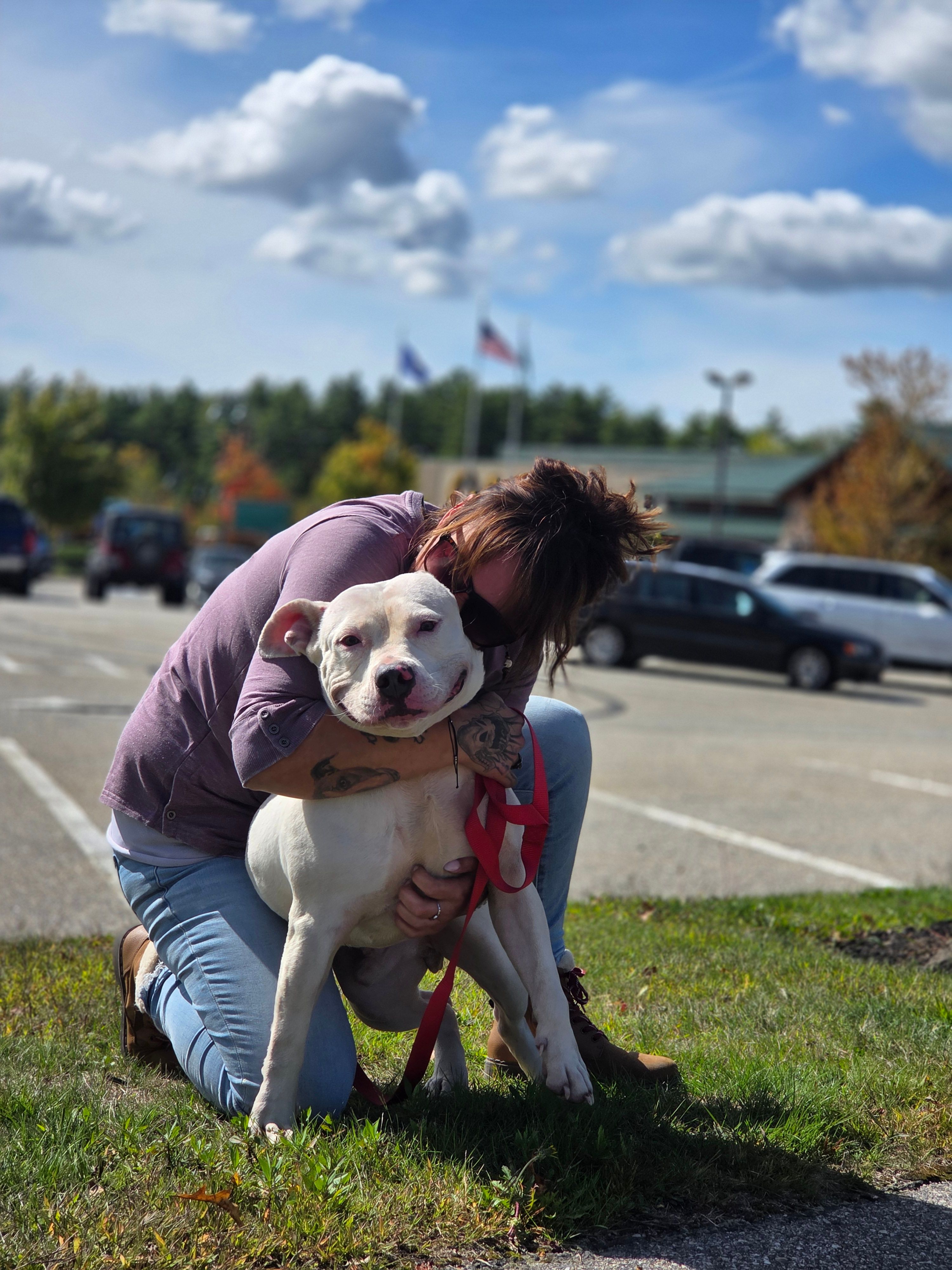Pulled From The Pits, A Pitbull Rescue