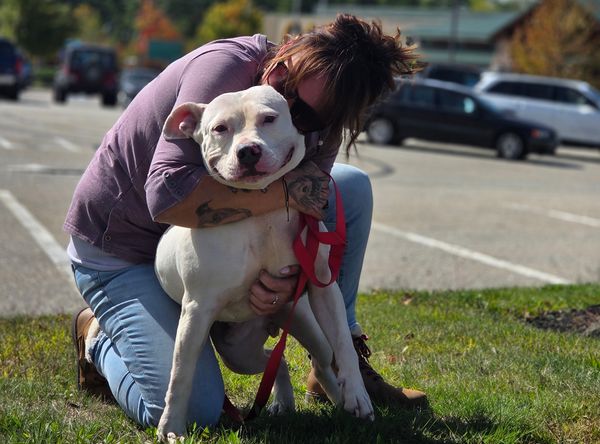 Pulled From The Pits, A Pitbull Rescue