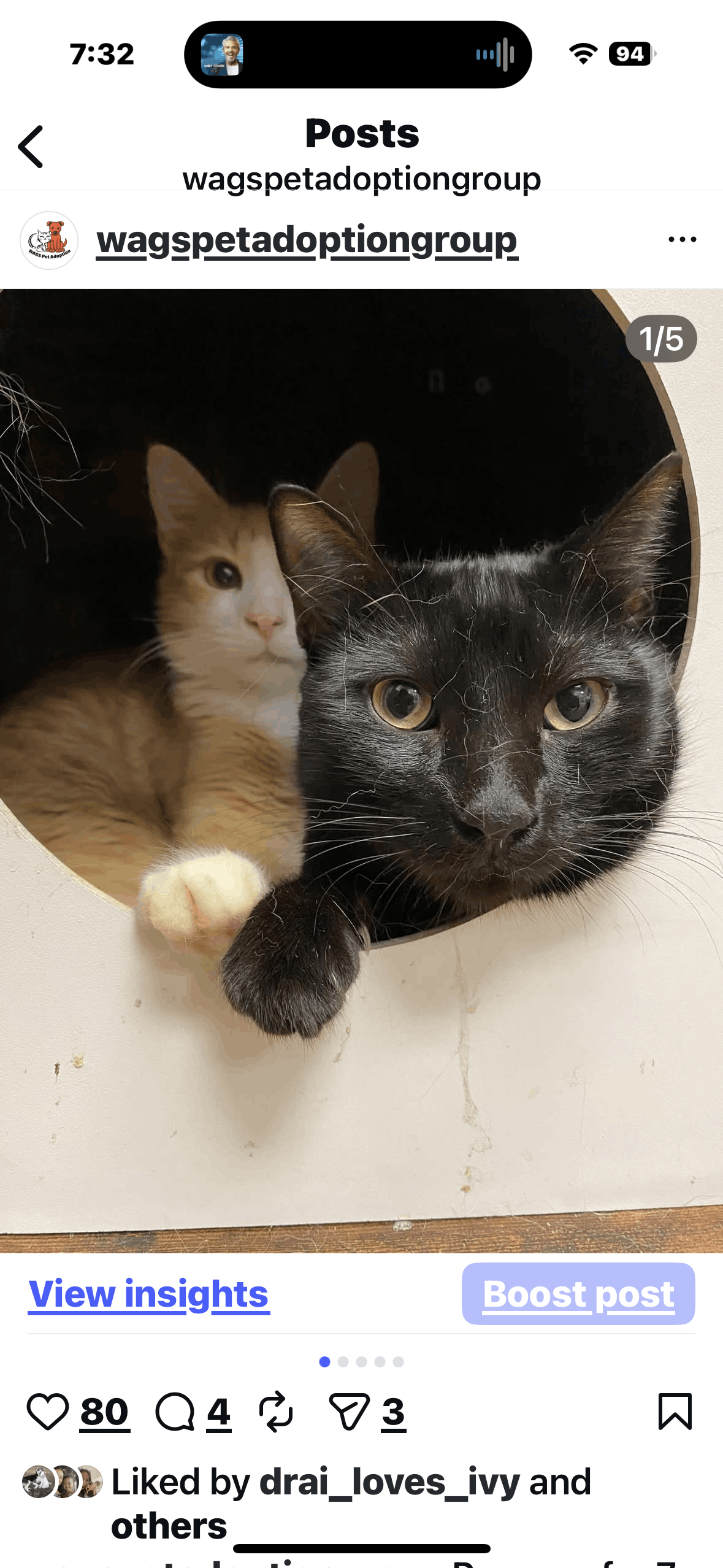 WAGS ~ Westminster Adoption Group and Services