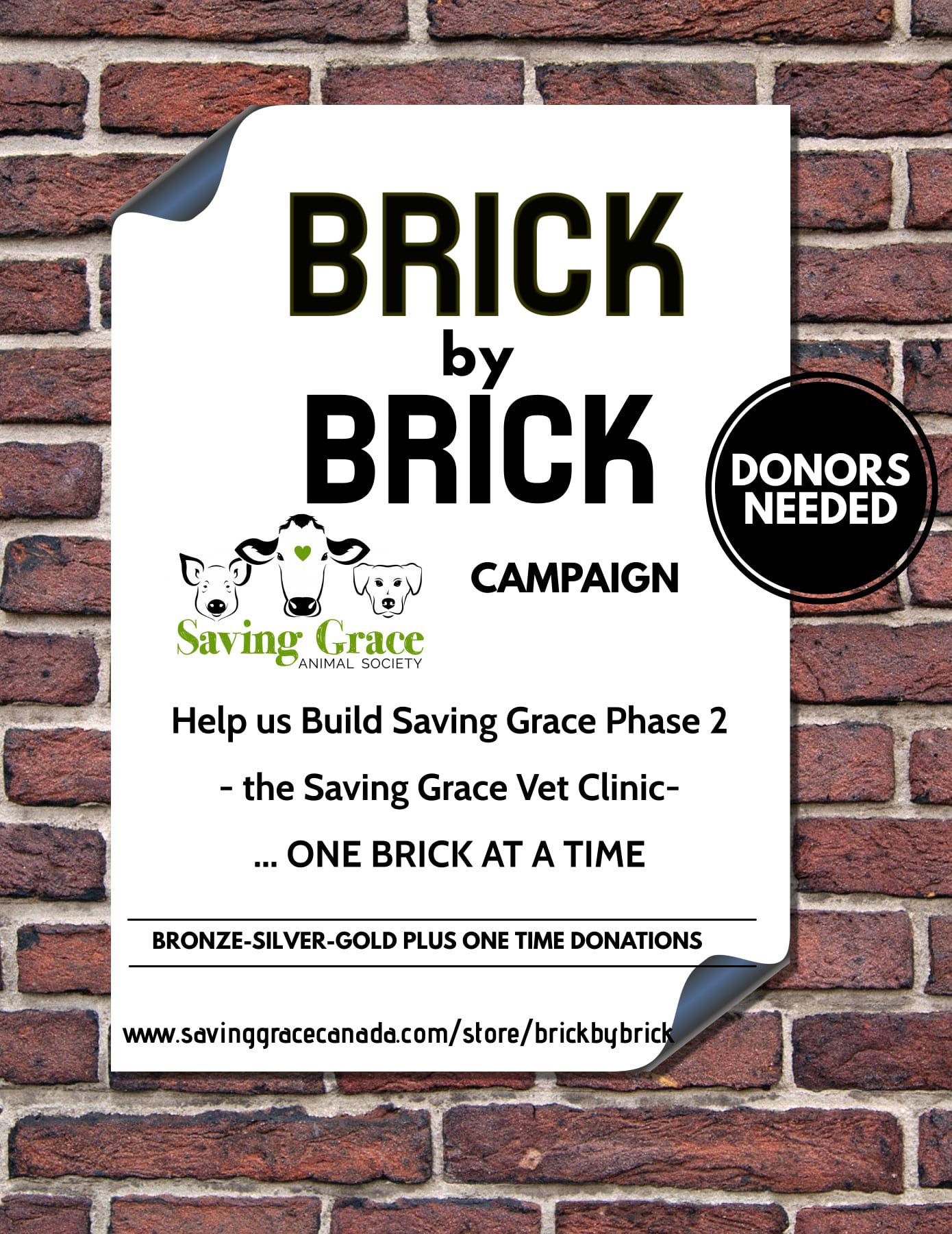 Saving grace animal society, Alix Alberta