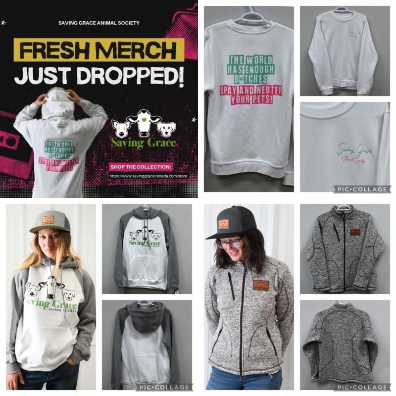 Saving grace animal society, Alix Alberta