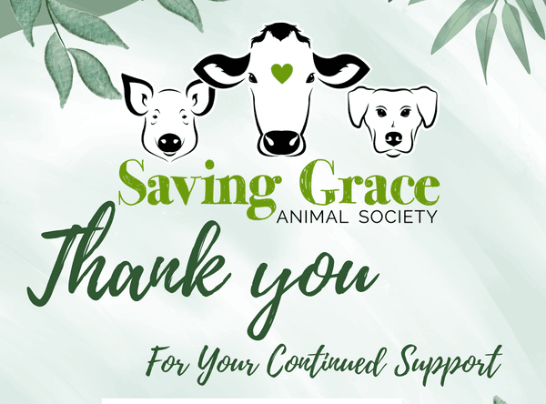 Saving grace animal society, Alix Alberta