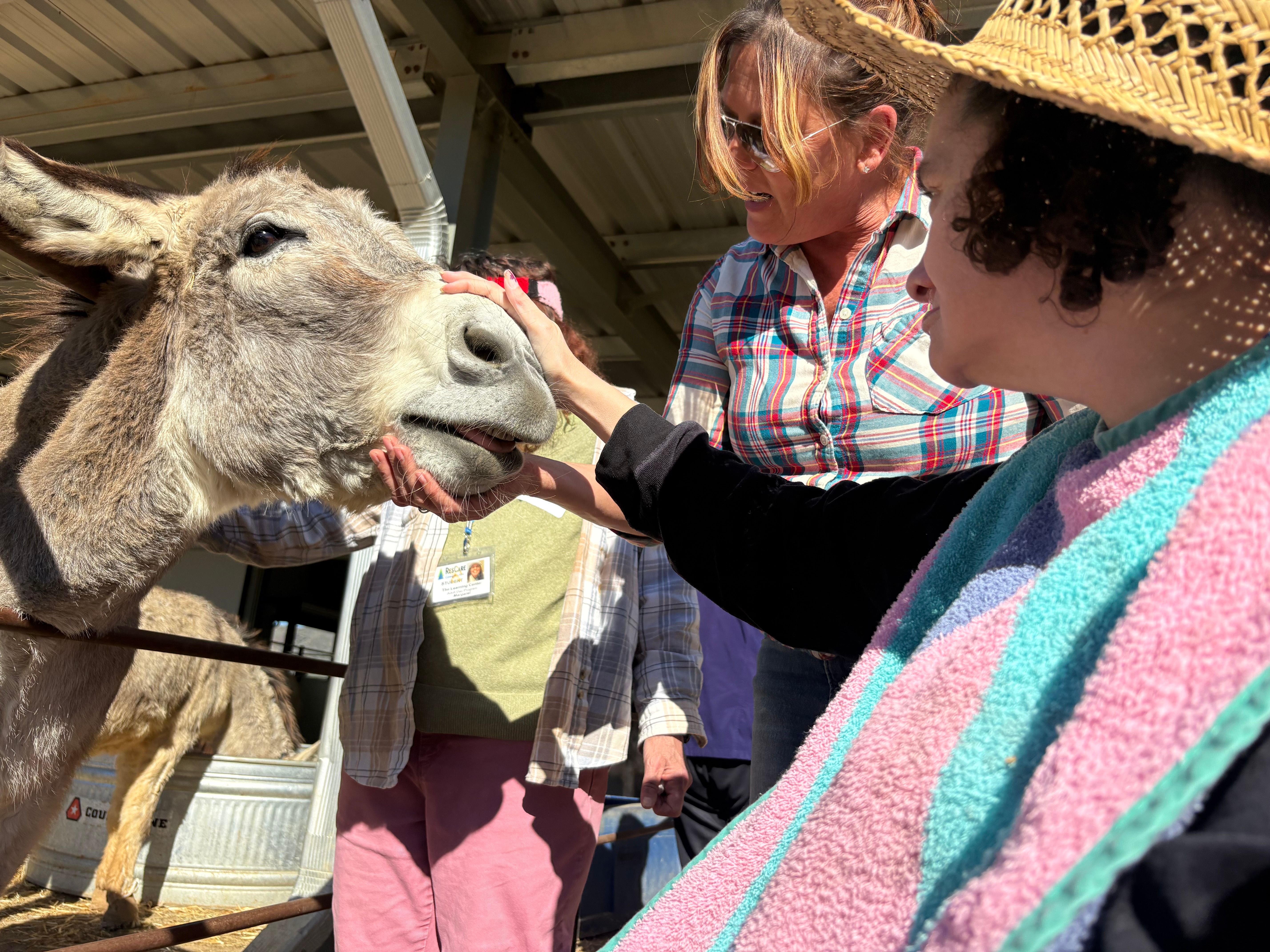 Rancho Burro Donkey Sanctuary