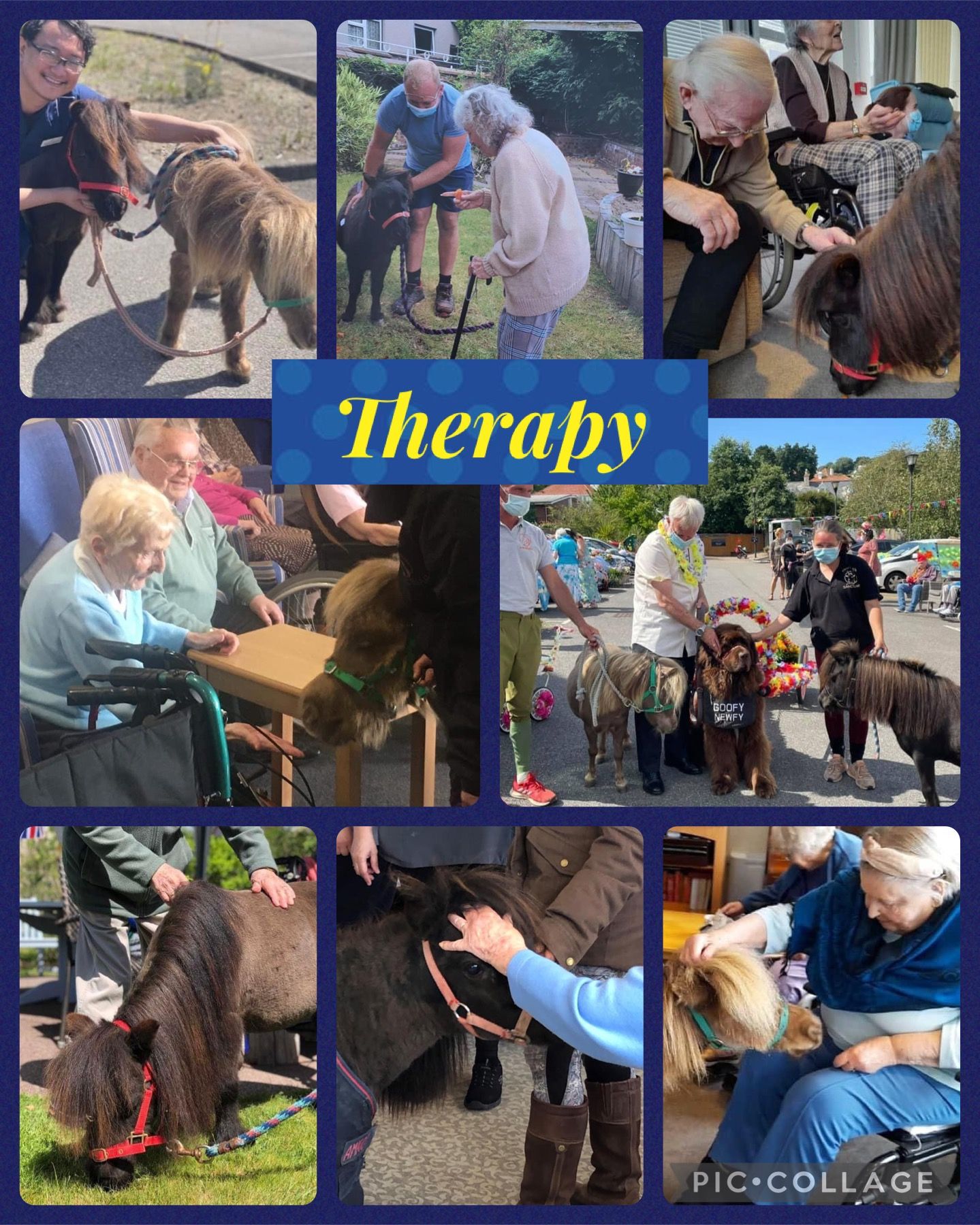 Finni’s Ark Animal Sanctuary