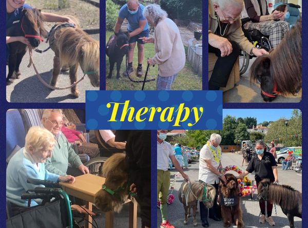 Finni’s Ark Animal Sanctuary