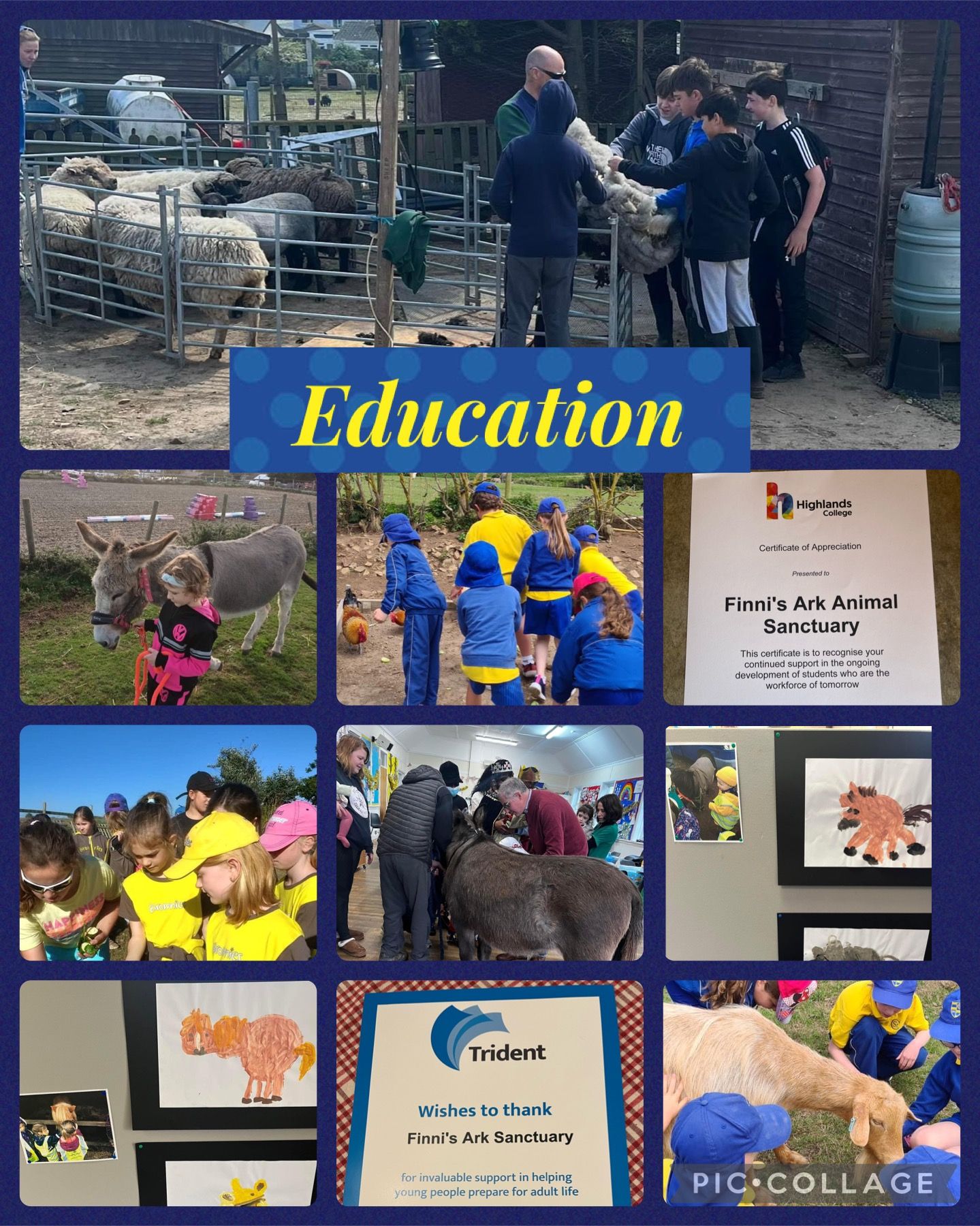 Finni’s Ark Animal Sanctuary