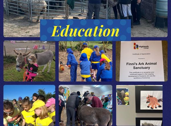Finni’s Ark Animal Sanctuary