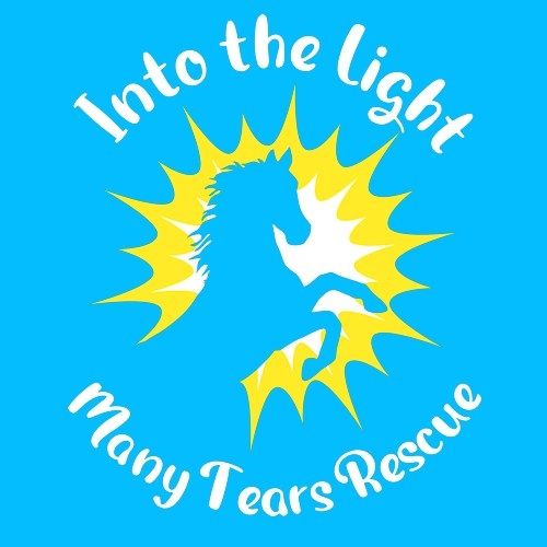 Many Tears Equestrian