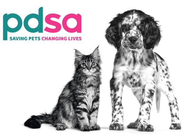 People's Dispensary for Sick Animals, UK