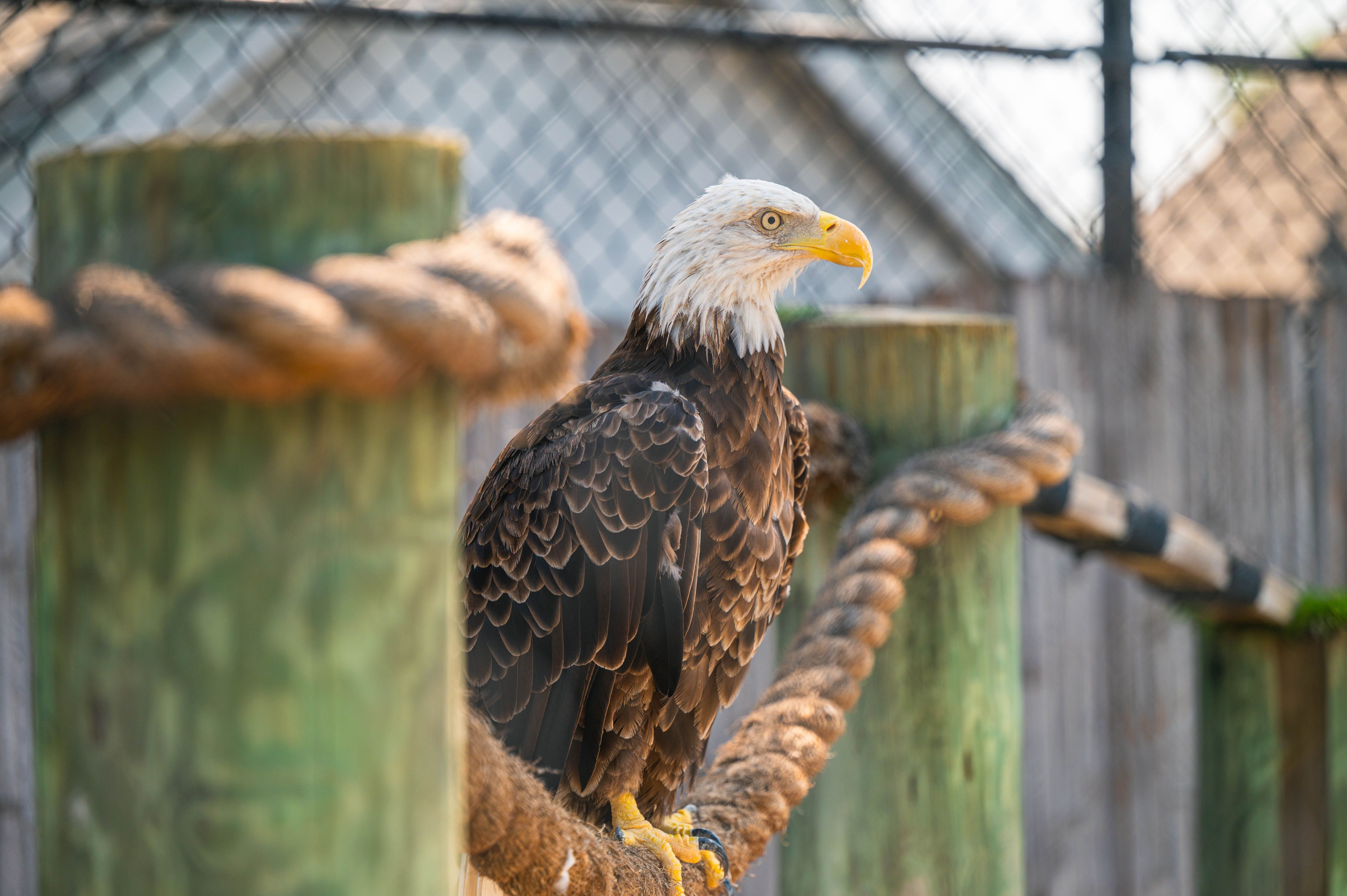 Seaside Seabird Sanctuary