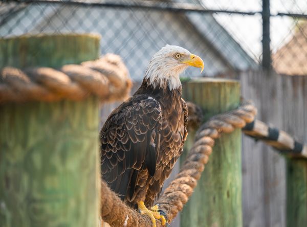 Seaside Seabird Sanctuary